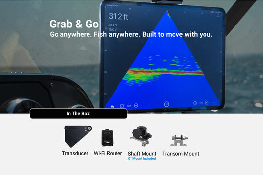 Accuphy PingLive Mini