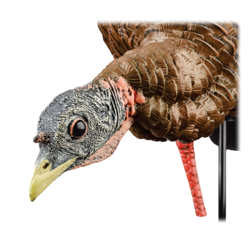 Load image into Gallery viewer, Avian-X® HDR Heavy-Duty Realism Full-Body Feeder Hen Turkey Decoy
