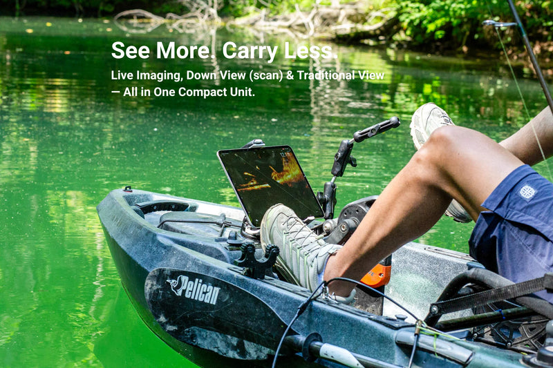 Load image into Gallery viewer, Accuphy PingLive Mini
