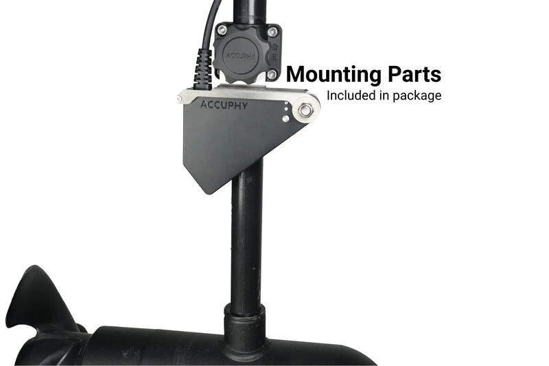 Load image into Gallery viewer, Accuphy PingLive Mini
