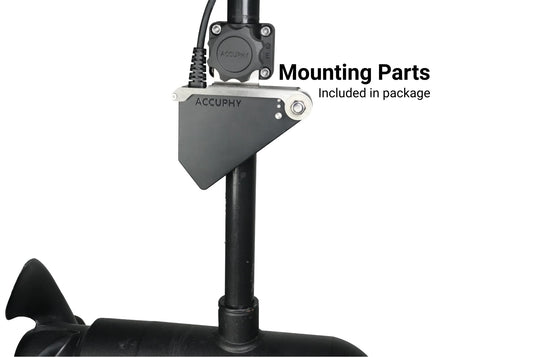 Accuphy PingLive Mini