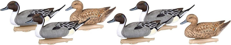 Load image into Gallery viewer, Storm Front™2 Classic Floater Pintail - 6 - Pack - Online Outfitters Canada
