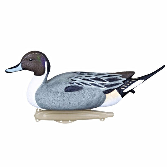Storm Front™2 Classic Floater Pintail - 6 - Pack - Online Outfitters Canada